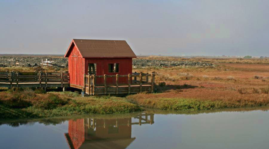 Quais são as escolhas de veículos mais populares em Newark?